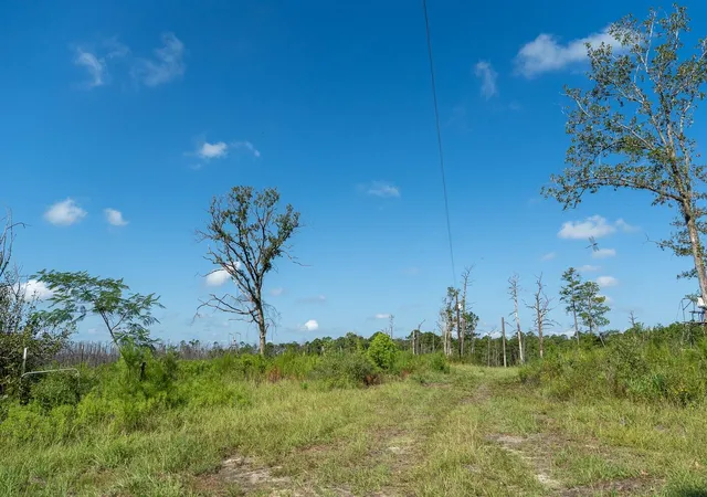 Photo 4 of Sale Pending at 117 County Rd 33, Jasper, TX 75951 | MLS# 10990508 | Listing updated on 2026-09-15