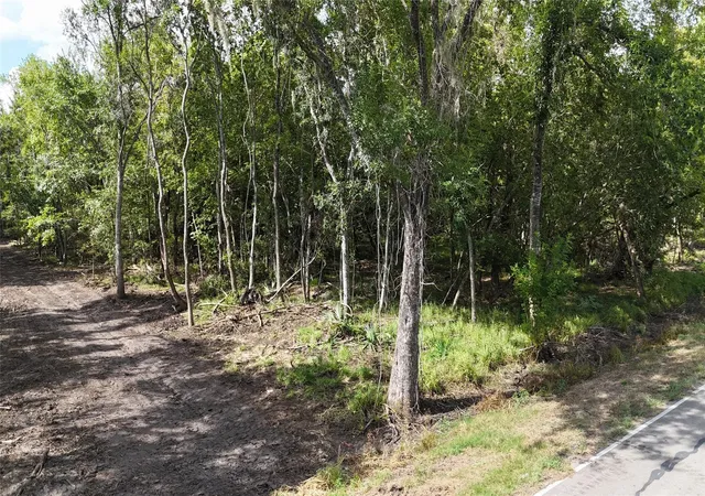 Photo 3 of Land for sale at Tbd Lot 2 County Rd 647, Guy, TX 77444 | MLS# 42143864 | Listing updated on 2026-10-01