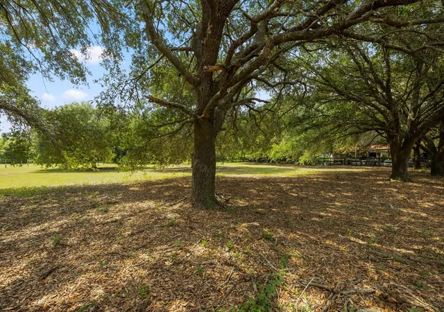 Photo 3 of Sale Pending at 0 Robeck St, Tomball, TX 77377 | MLS# 68489679 | Listing updated on 2026-09-10