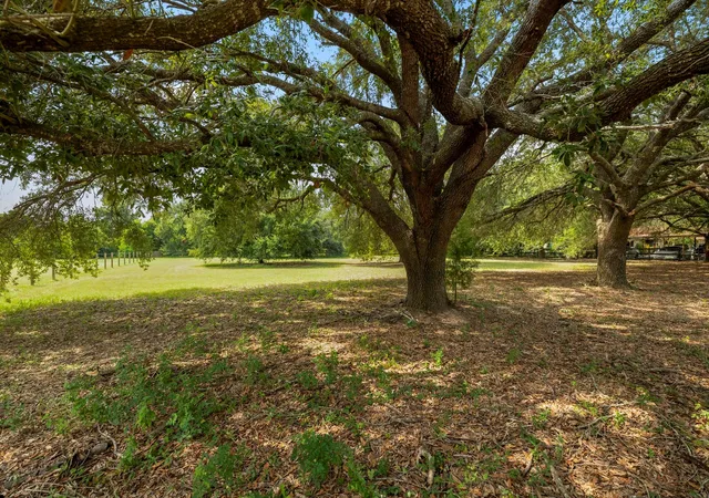 Photo 4 of Sale Pending at 0 Robeck St, Tomball, TX 77377 | MLS# 68489679 | Listing updated on 2026-09-10