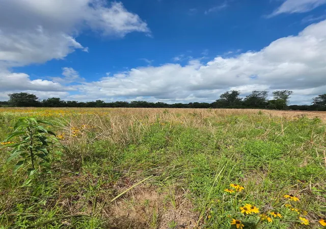 Photo 1 of Land for sale at Tbd Lot 7 County Rd 201, Plantersville, TX 77363 | MLS# 98358838 | Listing updated on 2026-09-11
