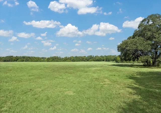 Photo 3 of Land for sale at 000 Frantz Rd, Cat Spring, TX 78933 | MLS# 33090748 | Listing updated on 2026-09-11