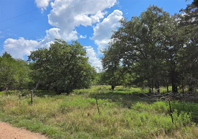 Photo 1 of Land for sale at Tbd Lot A Blue Bird Ln, Columbus, TX 78934 | MLS# 16065482 | Listing updated on 2026-09-16