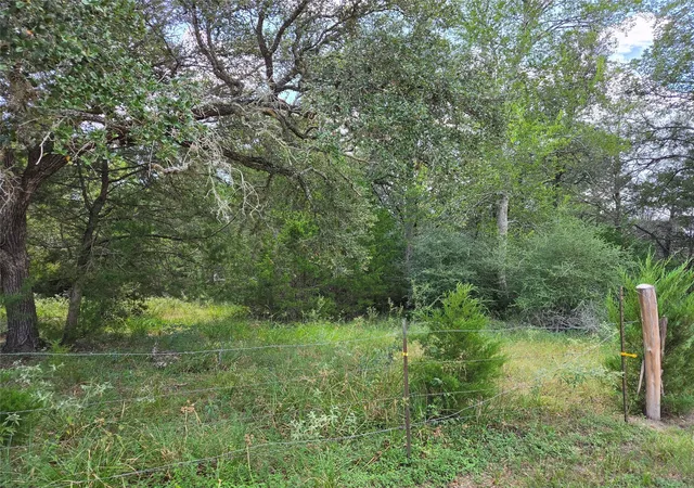 Photo 2 of Land for sale at Tbd Lot A Blue Bird Ln, Columbus, TX 78934 | MLS# 16065482 | Listing updated on 2026-09-16