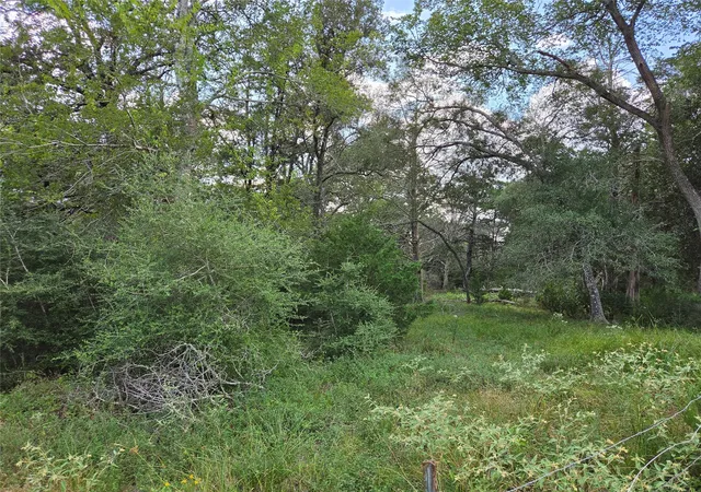 Photo 3 of Land for sale at Tbd Lot A Blue Bird Ln, Columbus, TX 78934 | MLS# 16065482 | Listing updated on 2026-09-16