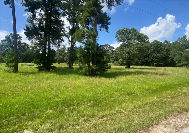 Photo 2 of Land for sale at Lot 2 Dahlia Rd, Huntsville, TX 77320 | MLS# 61902000 | Listing updated on 2026-09-04