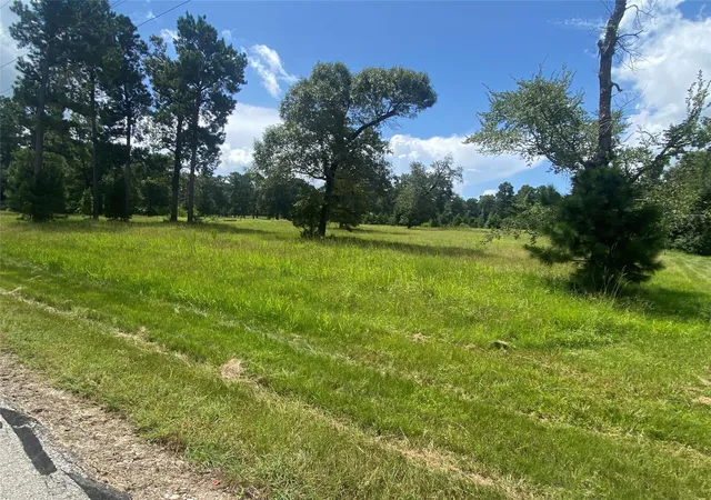Photo 3 of Land for sale at Lot 2 Dahlia Rd, Huntsville, TX 77320 | MLS# 61902000 | Listing updated on 2026-09-04