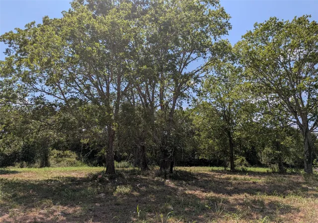 Photo 3 of Land for sale at 18320 Sweed Rd, Washington, TX 77880 | MLS# 27178367 | Listing updated on 2026-09-21