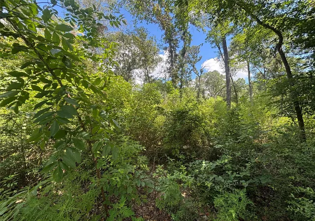 Photo 1 of Land for sale at 26059 E Christine Dr, Splendora, TX 77372 | MLS# 71267099 | Listing updated on 2026-09-02