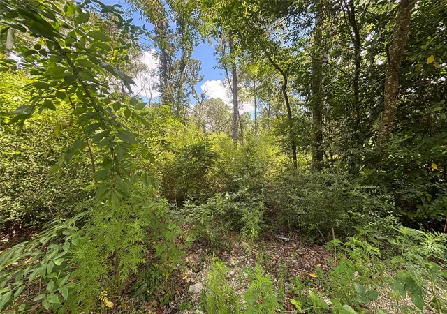 Photo 2 of Land for sale at 26059 E Christine Dr, Splendora, TX 77372 | MLS# 71267099 | Listing updated on 2026-09-02