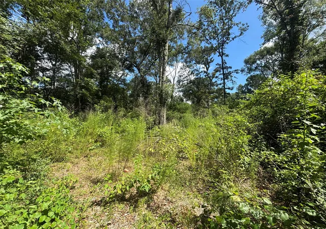 Photo 3 of Land for sale at 26059 E Christine Dr, Splendora, TX 77372 | MLS# 71267099 | Listing updated on 2026-09-02