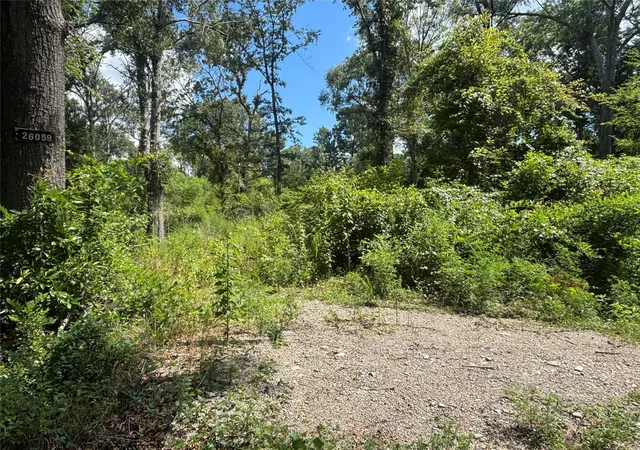 Photo 3 of Land for sale at 26059 E Christine Dr, Splendora, TX 77372 | MLS# 71267099 | Listing updated on 2026-09-02