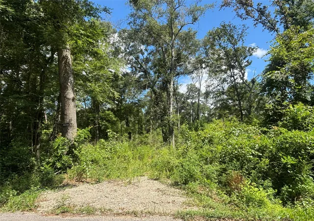 Photo 4 of Land for sale at 26059 E Christine Dr, Splendora, TX 77372 | MLS# 71267099 | Listing updated on 2026-09-02