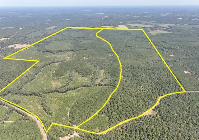 Photo 1 of Land for sale at T 2 Fm 256, Woodville, TX 75979 | MLS# 54370327 | Listing updated on 2026-09-03