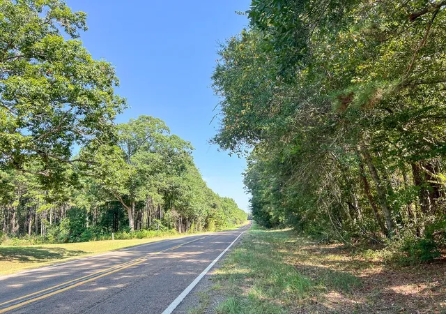 Photo 4 of Land for sale at T-2 Fm 256, Woodville, TX 75979 | MLS# 54370327 | Listing updated on 2026-09-03