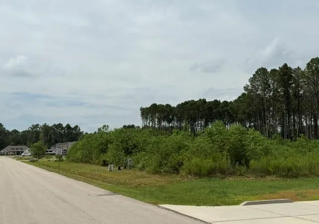 Photo 2 of Land for sale at 214 County Road 6614, Dayton, TX 77535 | MLS# 91775723 | Listing updated on 2026-09-03
