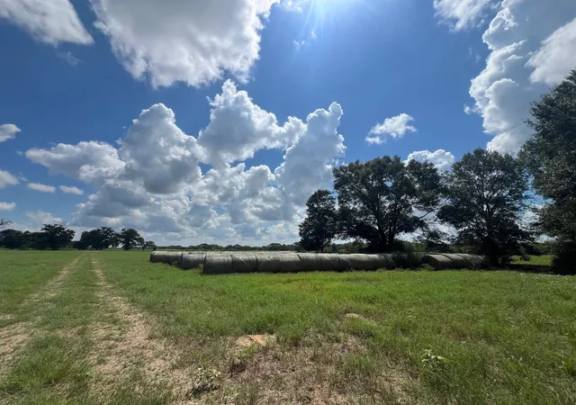 Photo 1 of Land for sale at 0 Fm 1371, Chappell Hill, TX 77426 | MLS# 52976595 | Listing updated on 2026-09-07