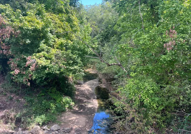 Photo 2 of Land for sale at 0 Fm 1371, Chappell Hill, TX 77426 | MLS# 52976595 | Listing updated on 2026-09-07