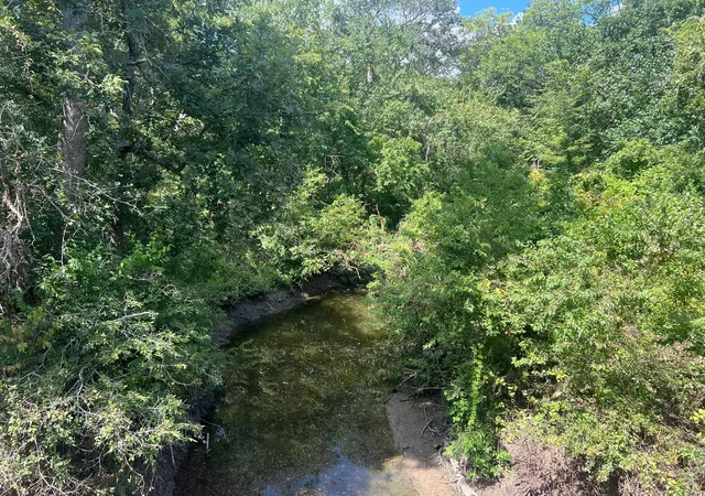 Photo 3 of Land for sale at 0 Fm 1371, Chappell Hill, TX 77426 | MLS# 52976595 | Listing updated on 2026-09-07