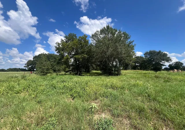 Photo 3 of Land for sale at 0 Fm 1371, Chappell Hill, TX 77426 | MLS# 52976595 | Listing updated on 2026-09-07