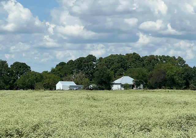 Photo 4 of Land for sale at 0 Fm 1371, Chappell Hill, TX 77426 | MLS# 52976595 | Listing updated on 2026-09-07