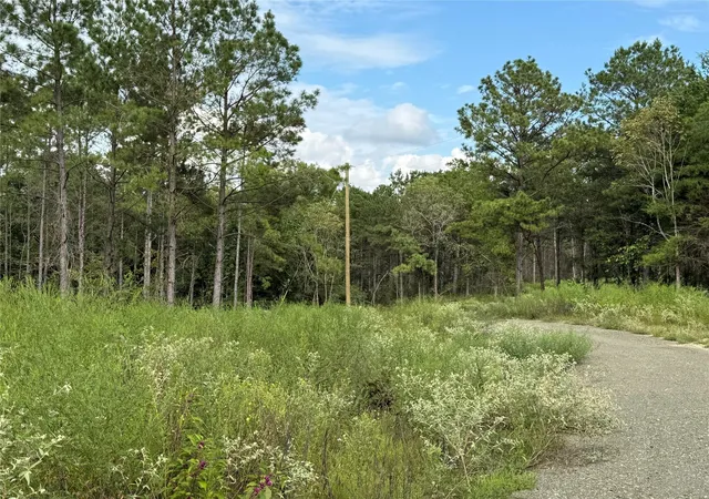 Photo 1 of Land for sale at 664 County Rd 4872 13, Timpson, TX 75975 | MLS# 78355813 | Listing updated on 2026-09-15