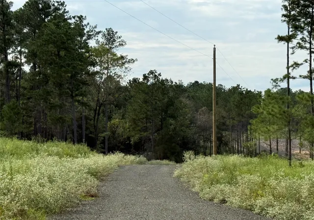Photo 3 of Land for sale at 664 County Rd 4872 13, Timpson, TX 75975 | MLS# 78355813 | Listing updated on 2026-09-15