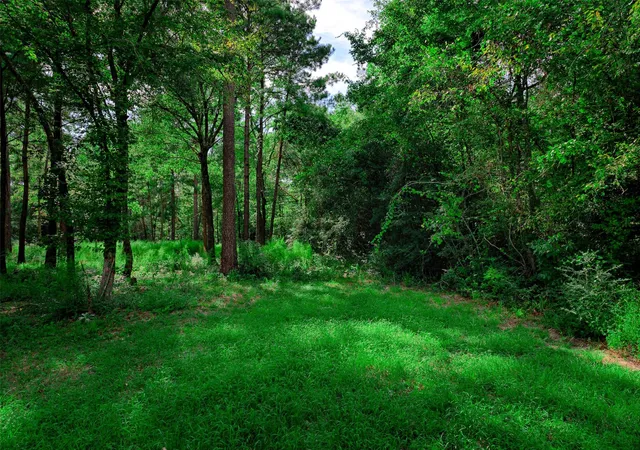 Photo 1 of Land for sale at 3 15 36 Winchester Rd, Huntsville, TX 77340 | MLS# 14452872 | Listing updated on 2026-09-23