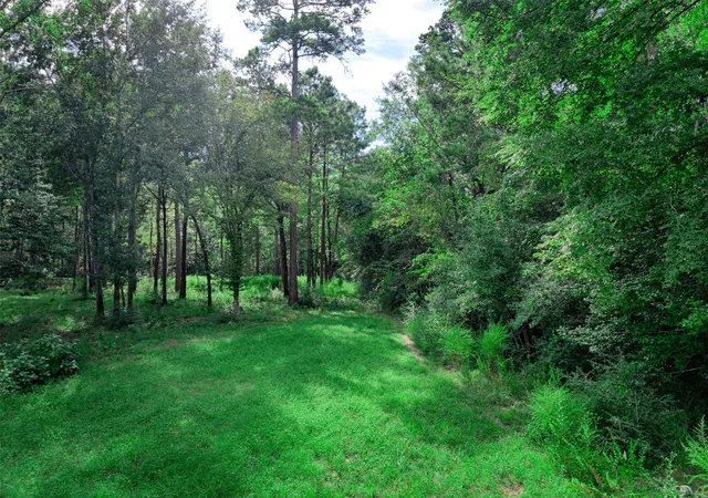 Photo 3 of Land for sale at 3 15 36 Winchester Rd, Huntsville, TX 77340 | MLS# 14452872 | Listing updated on 2026-09-23