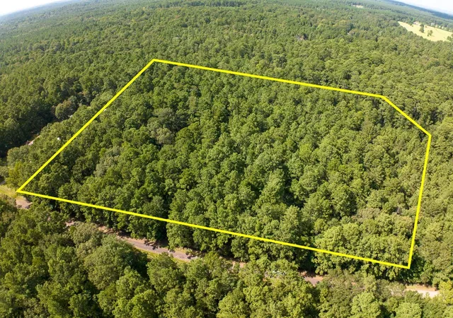 Photo 1 of Land for sale at Tbd Cotten Ln, Zavalla, TX 75980 | MLS# 69990773 | Listing updated on 2026-09-02
