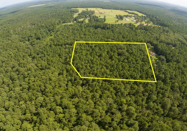 Photo 2 of Land for sale at Tbd Cotten Ln, Zavalla, TX 75980 | MLS# 69990773 | Listing updated on 2026-09-02