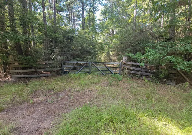 Photo 3 of Land for sale at Tbd Cotten Ln, Zavalla, TX 75980 | MLS# 69990773 | Listing updated on 2026-09-02