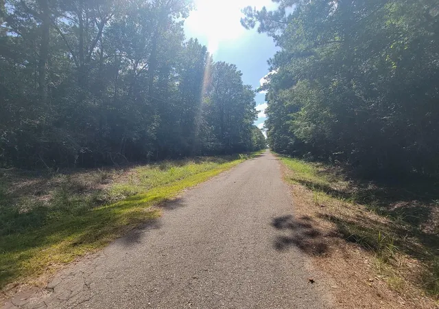 Photo 3 of Land for sale at Tbd Cotten Ln, Zavalla, TX 75980 | MLS# 69990773 | Listing updated on 2026-09-02