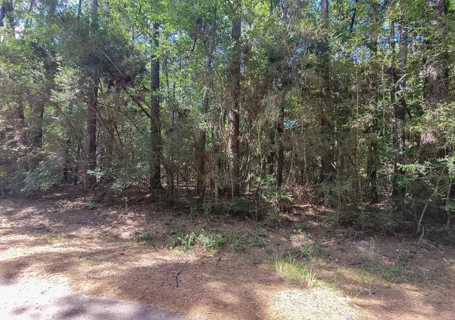 Photo 4 of Land for sale at Tbd Cotten Ln, Zavalla, TX 75980 | MLS# 69990773 | Listing updated on 2026-09-02