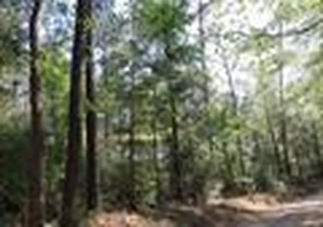 Photo 3 of Land for sale at Tbd Cr 3160, Colmesneil, TX 75938 | MLS# 44852709 | Listing updated on 2026-09-16