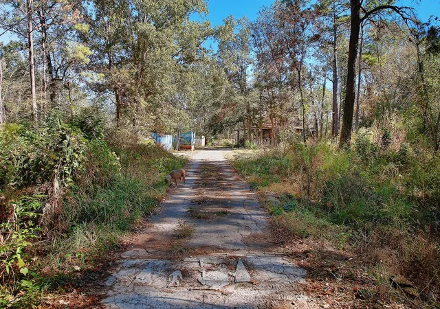 Photo 4 of Single family home for sale at 18533 Fm 1485 Rd, New Caney, TX 77357 | MLS# 36603922 | Listing updated on 2026-09-05