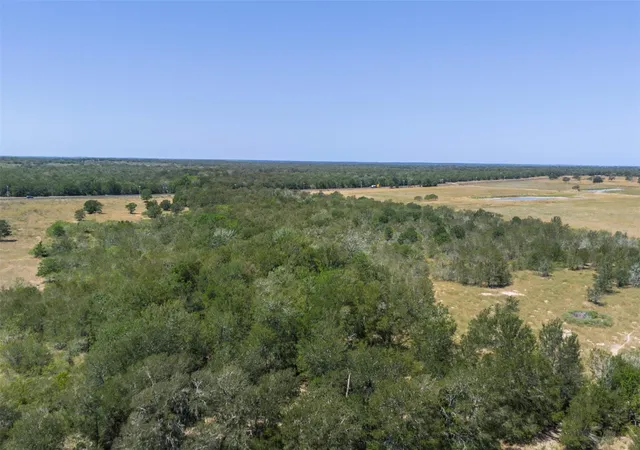 Photo 3 of Land for sale at 10601 N State Hwy 95, Flatonia, TX 78941 | MLS# 12711274 | Listing updated on 2026-09-06