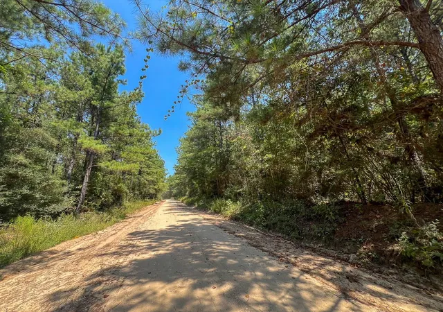 Photo 1 of Land for sale at 7 County Rd 3230, Colmesneil, TX 75938 | MLS# 68467433 | Listing updated on 2026-08-31