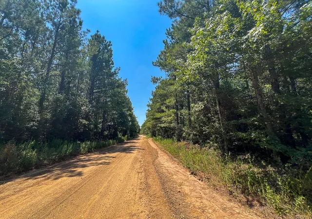 Photo 3 of Land for sale at 1 Fm 256, Colmesneil, TX 75938 | MLS# 85860397 | Listing updated on 2026-08-31