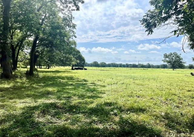 Land for sale at 0 S County Rd 263, Egypt, TX 77434 | MLS# 63848785