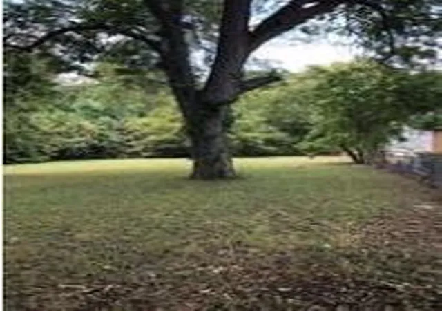 Photo 3 of Land for sale at 304 E 17th Street, Bryan, TX 77803 | MLS# 35428622 | Listing updated on 2026-09-14