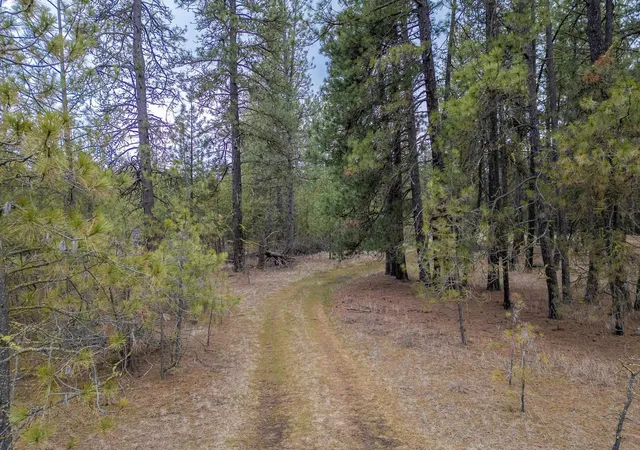 Land for sale at 8700 S Stangland St, Medical Lake, WA 99022 | MLS# 202513801