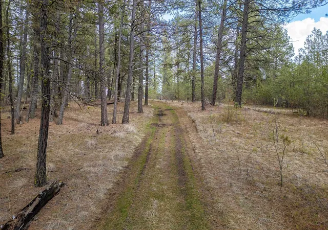 Photo 2 of Land for sale at 8700 S Stangland St, Medical Lake, WA 99022 | MLS# 202513801 | Listing updated on 2026-09-08