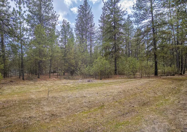 Photo 3 of Land for sale at 8700 S Stangland St, Medical Lake, WA 99022 | MLS# 202513801 | Listing updated on 2026-09-08