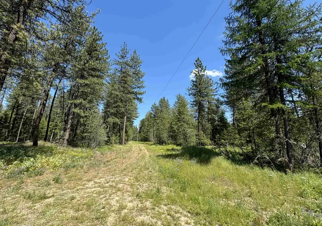 Photo 2 of Land for sale at 530 N A St, Springdale, WA 99173 | MLS# 202617700 | Listing updated on 2026-09-07