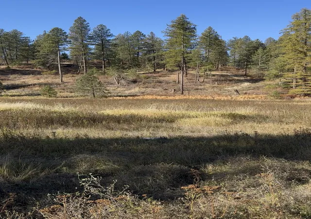 Photo 2 of Land for sale at Nka W Bernhill Rd, Spokane, WA 99208 | MLS# 202623492 | Listing updated on 2026-09-08