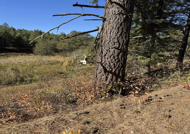 Photo 3 of Land for sale at Nka W Bernhill Rd, Spokane, WA 99208 | MLS# 202623492 | Listing updated on 2026-09-08