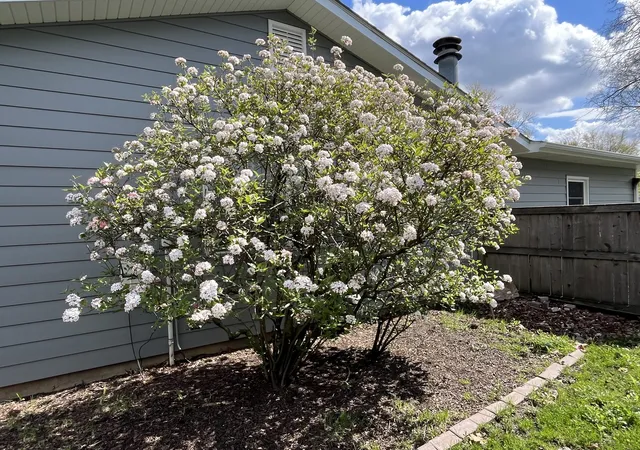 Photo 5 of Single family home for sale at 650 Twisted Oak Ln, Buffalo Grove, IL 60089 | MLS# 12731802 | Listing updated on 2026-09-05