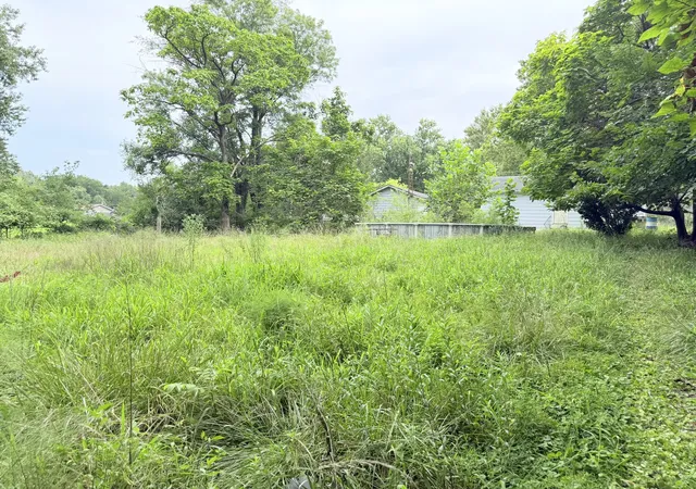 Photo 20 of Sale Pending at 261 E Trammel St, Carrier Mills, IL 62917 | MLS# 12732323 | Listing updated on 2026-09-07