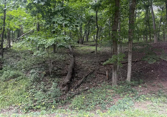 Photo 2 of Land for sale at 1806 Tanglewood Dr, Varna, IL 61375 | MLS# 12736027 | Listing updated on 2026-09-07